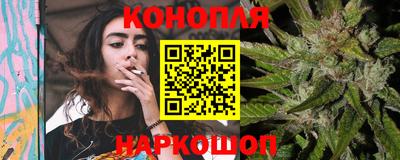 прущие крисы Можга