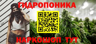 прущие крисы Можга