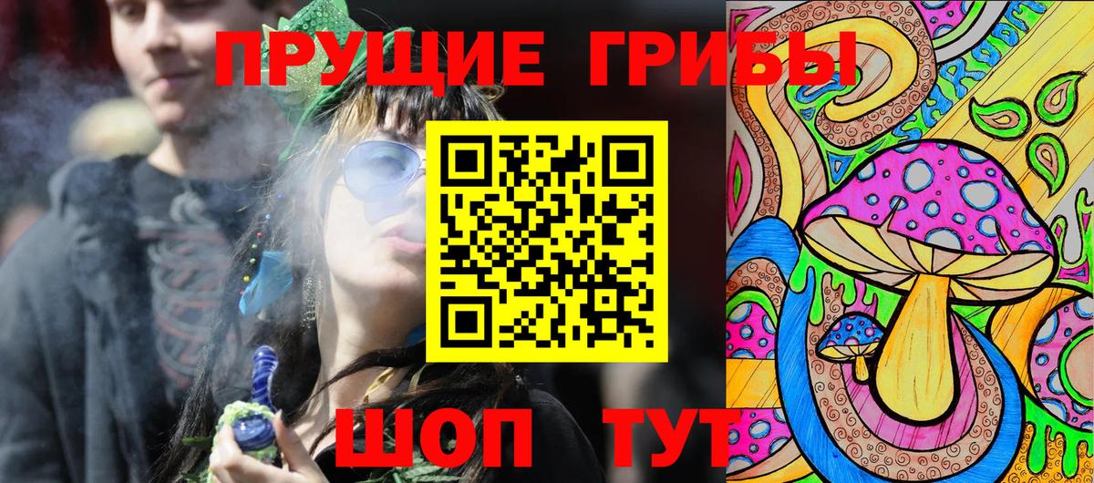Псилоцибиновые грибы Psilocybe  Вход с VPN  Избербаш 