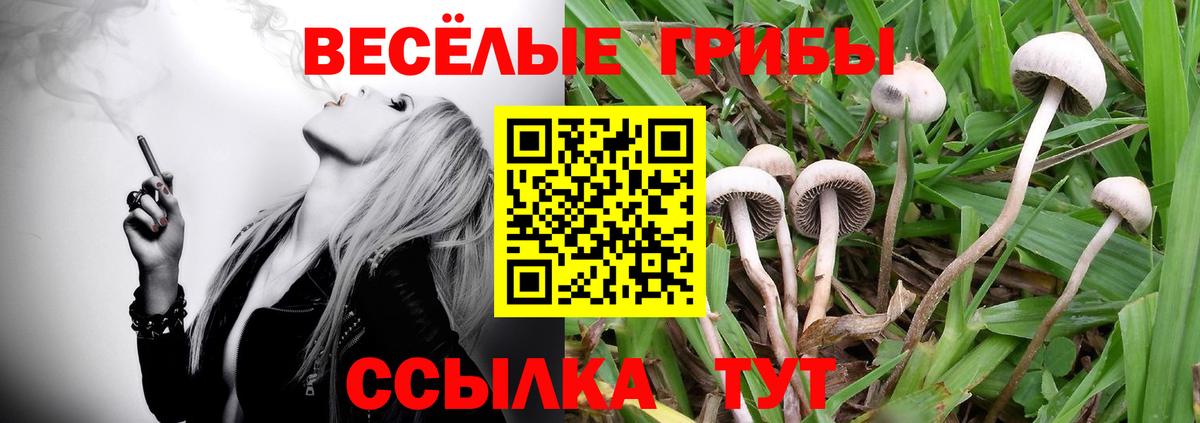Псилоцибиновые грибы Magic Shrooms Избербаш